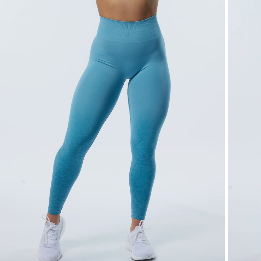 ALPHALETE ombré amplify seamless leggings